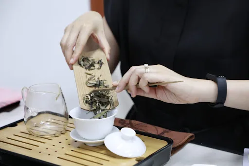 The Tea & Coffee Room - TeArt studio 森嵐茶藝