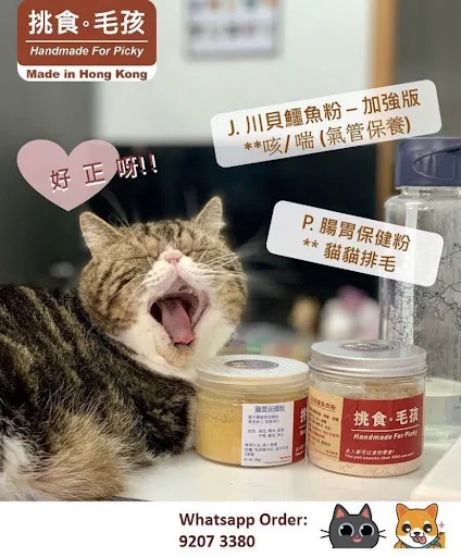 挑食毛孩