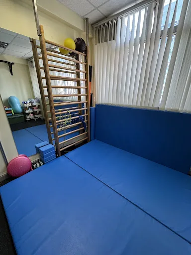 APA Physiotherapy service