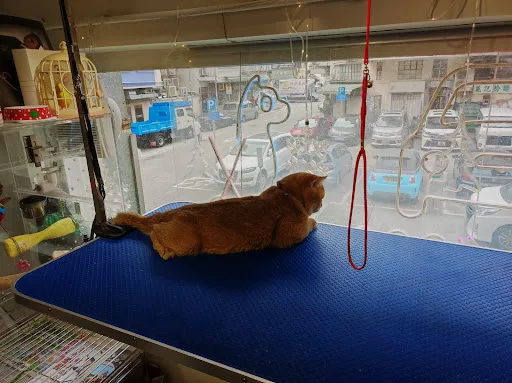 Alan's Pet Salon