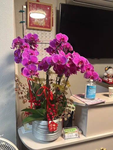 沁月坊