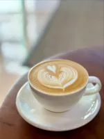 Saturn Coffee Roaster