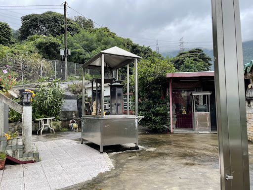 紫竹林