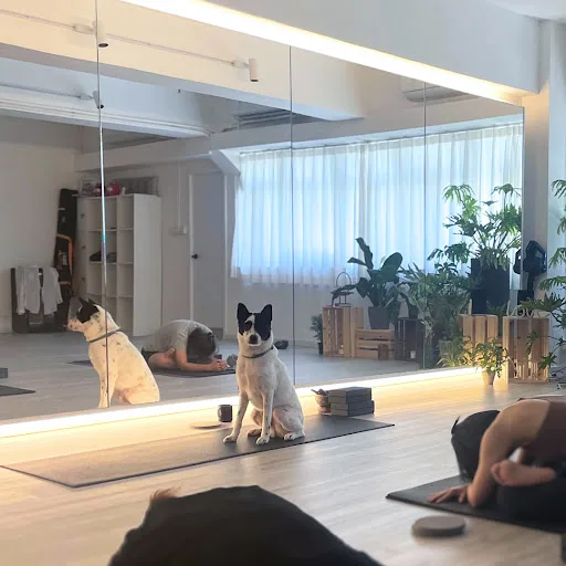 YujaYoga