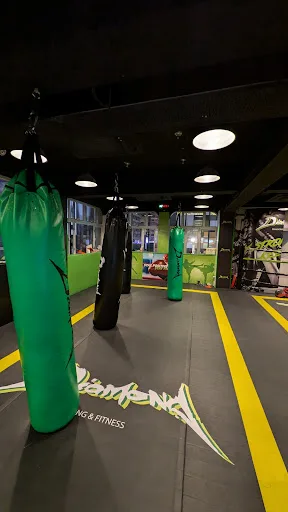 Diamond Thai Boxing & Fitness