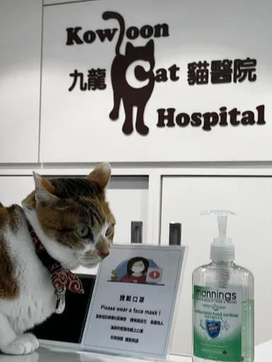 Kowloon Cat Hospital
