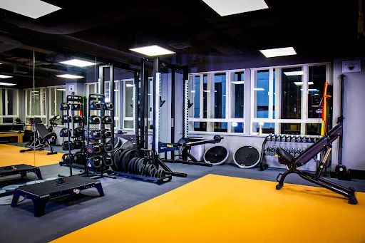 The Physio Lab