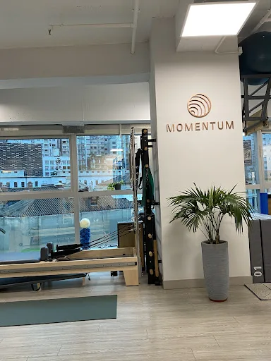 Momentum