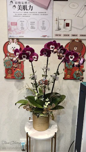 唯美肌醫療美容中心